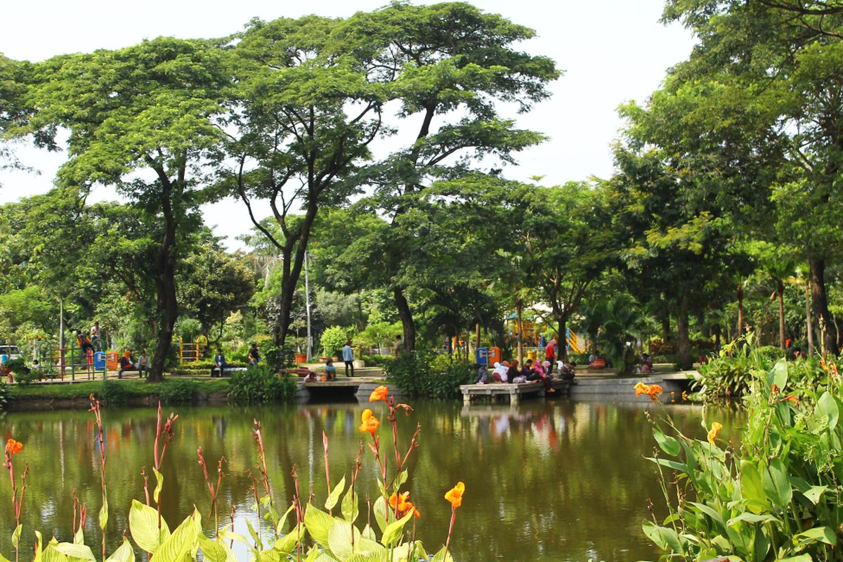 Kebun Bibit Wonorejo Surabaya