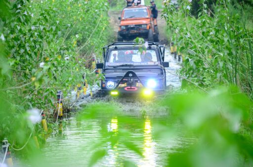 THUMBNAIL HUTAN CEMARA PAKAL