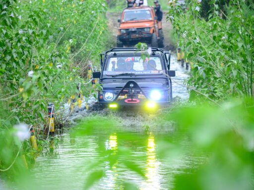 THUMBNAIL HUTAN CEMARA PAKAL