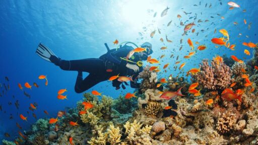 Scuba Diving