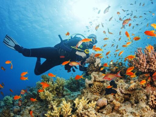 Scuba Diving