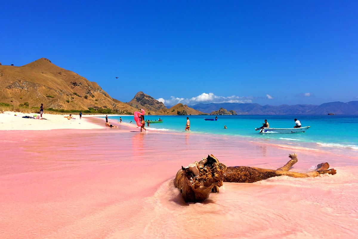 Pink Beach, Pulau Komodo, Nusa Tenggara Timur