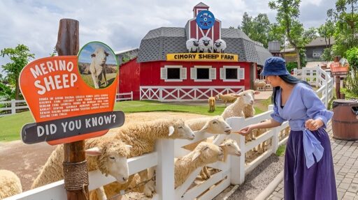 Thumbnail Cimory Dairyland