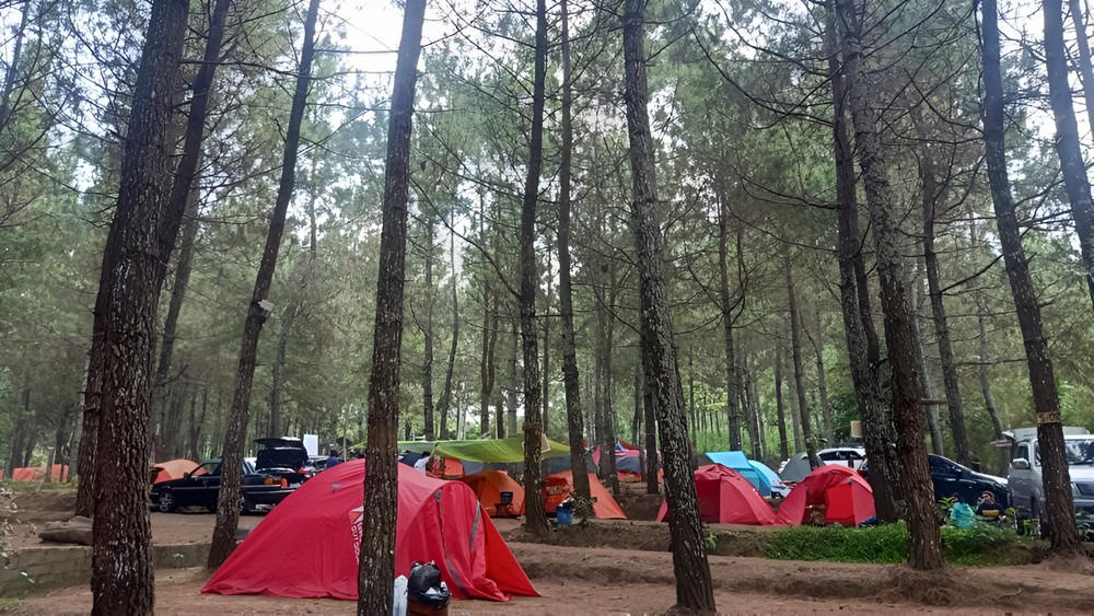 Taman Pinus Campervan Park