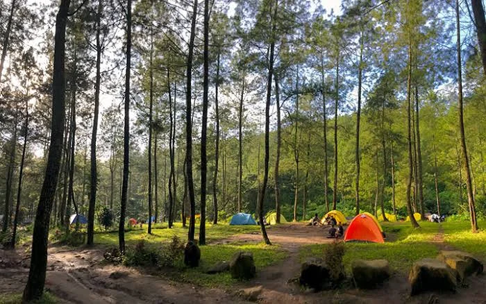 Sumber : https://www.google.com/url?sa=i&url=https%3A%2F%2Fwisata-batumalang.com%2Fcamping-seru-di-bumi-perkemahan-bedengan-malang%2F&psig=AOvVaw2ANJN9AEZDG7_ZCB8SXRL3&ust=1758604399723000&source=images&cd=vfe&opi=89978449&ved=0CBUQjRxqFwoTCODr24zO648DFQAAAAAdAAAAABAK