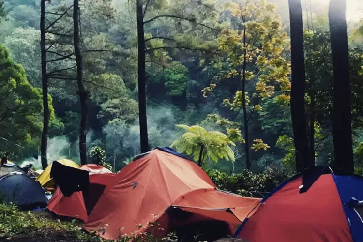 Sumber : https://www.google.com/url?sa=i&url=https%3A%2F%2Fsumenep.jatimnetwork.com%2Fpariwisata-budaya%2F6749633545%2Ffamily-friendly-banget-bumi-perkemahan-dlundung-trawas-pas-buat-menikmati-pesona-air-terjun-berselimut-kabut%3Fpage%3D2&psig=AOvVaw3VHJrbO4E0HUxrIaNKoPpO&ust=1758605487265000&source=images&cd=vfe&opi=89978449&ved=0CBUQjRxqFwoTCJDElZrS648DFQAAAAAdAAAAABAK