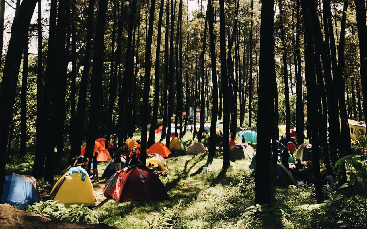 Sumber : https://www.google.com/url?sa=i&url=https%3A%2F%2Ftelusuri.id%2Fliburan-indie-di-kakek-bodo-campground%2F&psig=AOvVaw1RLD40qiQW3k2MK2ksAziv&ust=1758605124059000&source=images&cd=vfe&opi=89978449&ved=0CBUQjRxqFwoTCKChyOHQ648DFQAAAAAdAAAAABAE