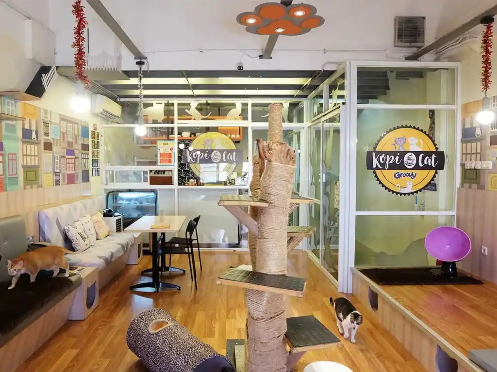 Kopi Cat Café