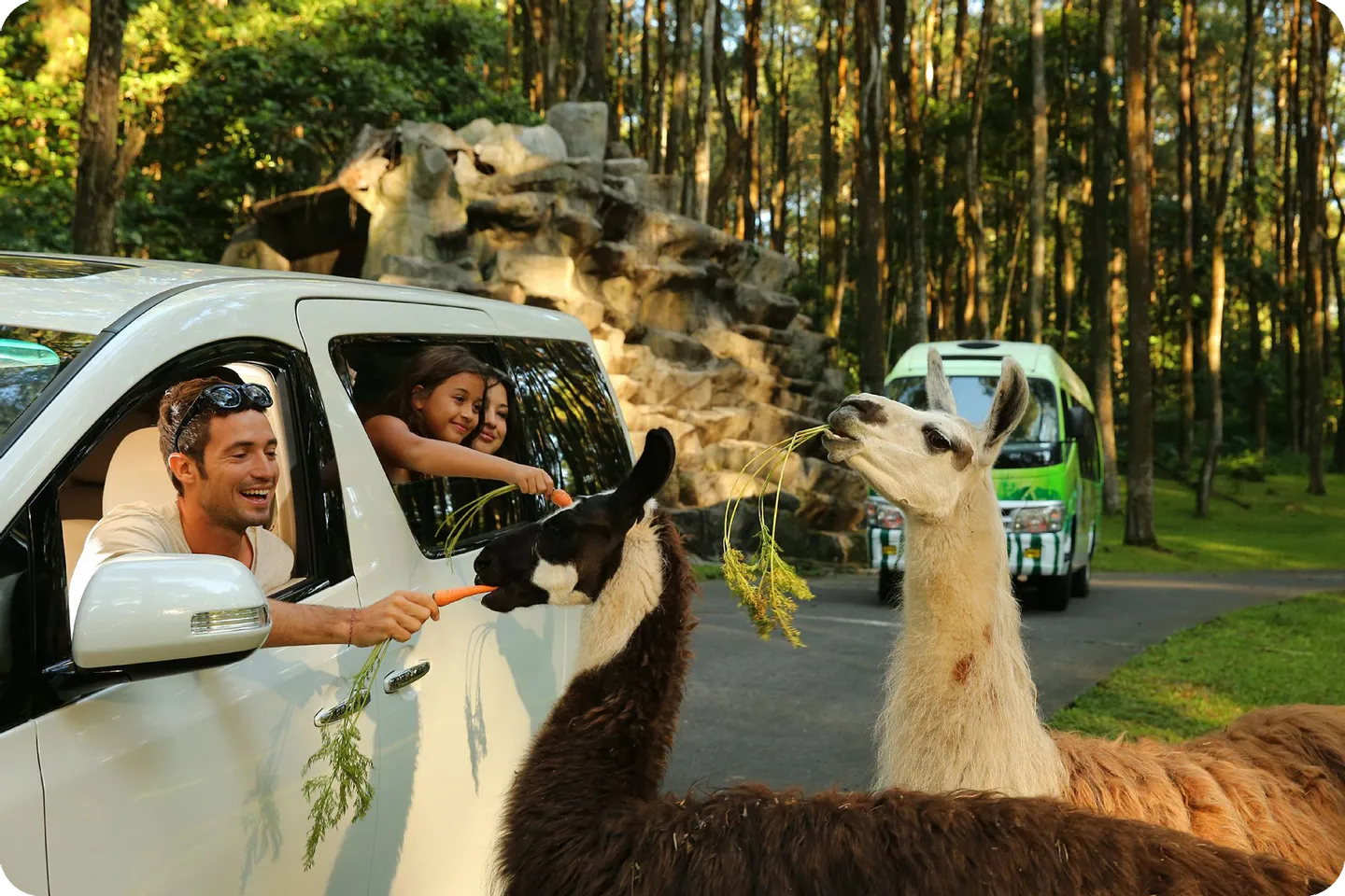 Taman Safari Prigen