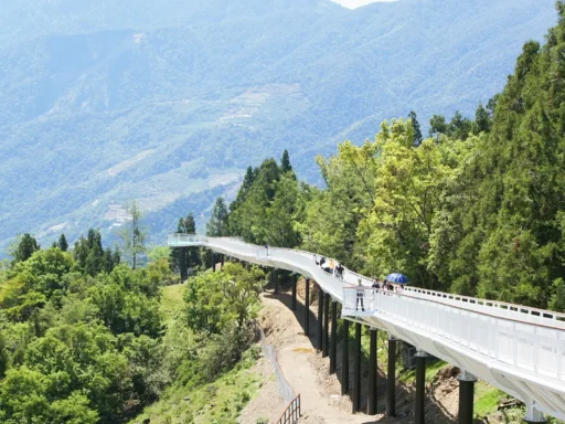 skywalk