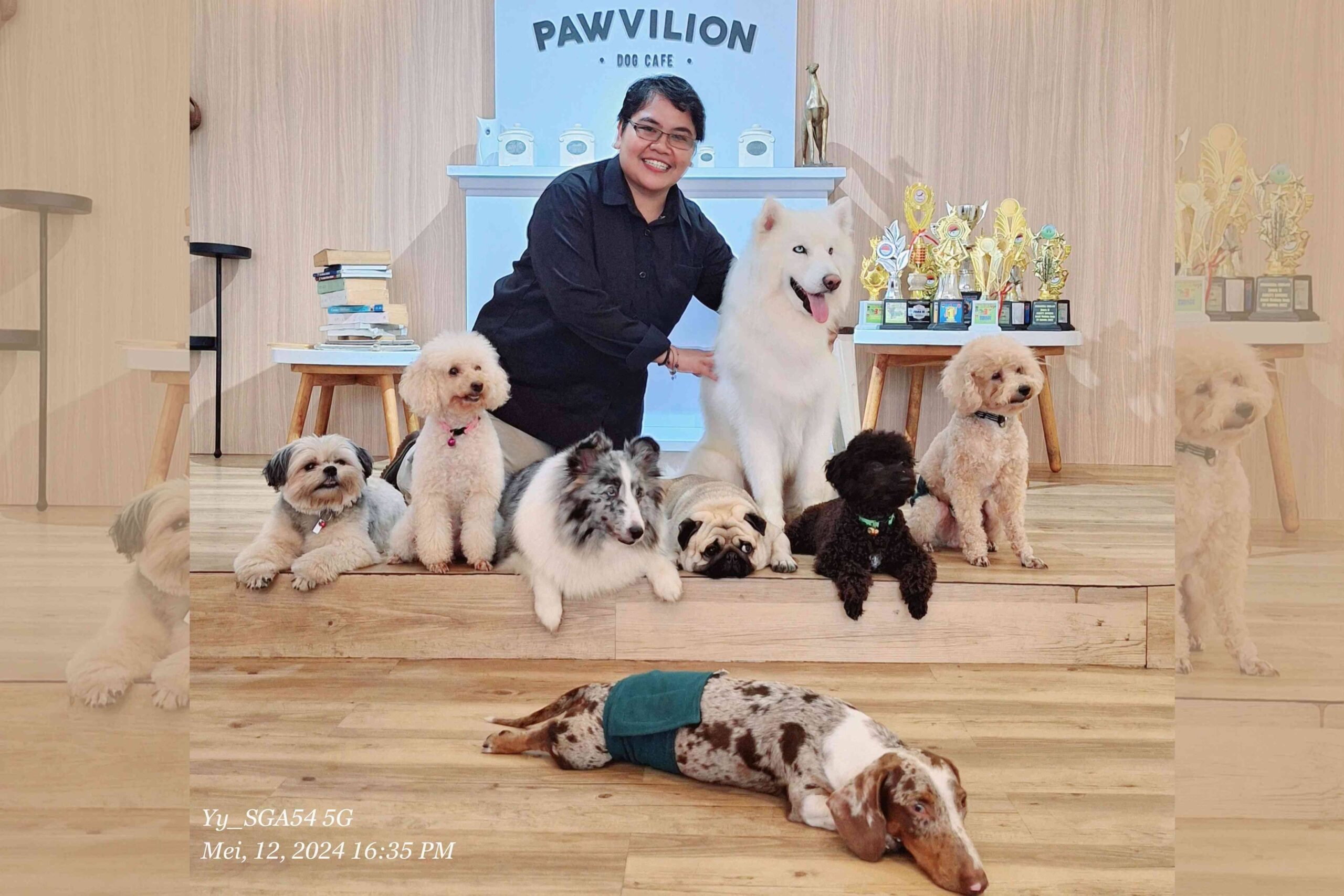 Pawvilion Dog Café